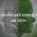 O nhiem moi truong va suc khoe (2)