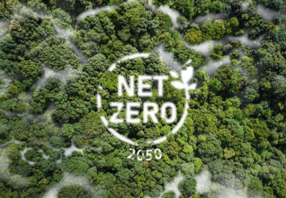 net-zero-768x432