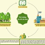 461410954_9133567926657668_7841963463075590655_n